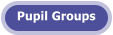 Pupil Groups